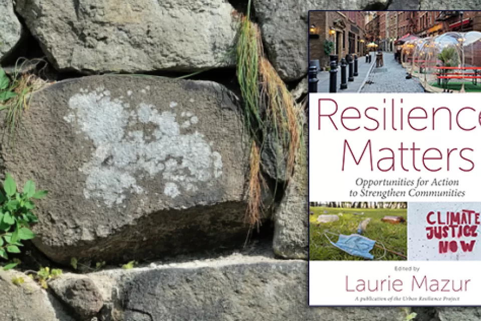 Ivy-covered stone wall and cover of Resilience Matters e-book